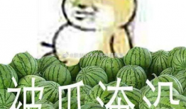 吃瓜黑料正能量爆料群,网络舆论的正能量守护者